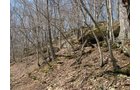 Property photo 29 - 137 Acres in 2 Tracts - 64 Tillable Acres, Potential Building Sites, Hunting